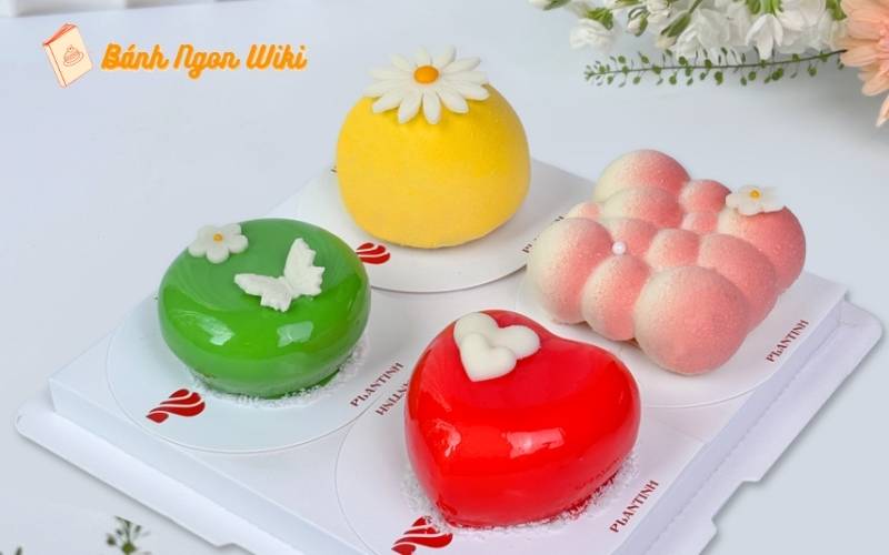 Khám phá sự sang trọng trong từng miếng bánh entremet mini