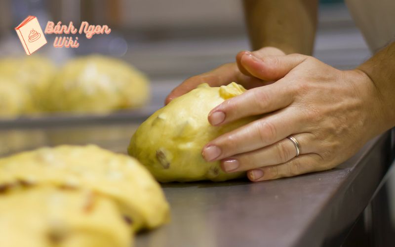 Ủ bột bánh Panettone